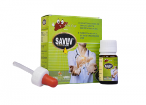 Savliv Drops