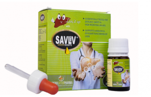 Savliv Drops